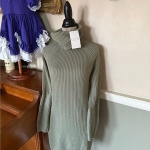 Women's Oversized Ribbed Turtleneck Green Sweater Dress NWT